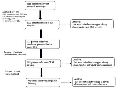 Impact of Upper Airway Characteristics on Disease Severity and CPAP Therapy in Chinese Patients With OSA: An Observational Retrospective Study
